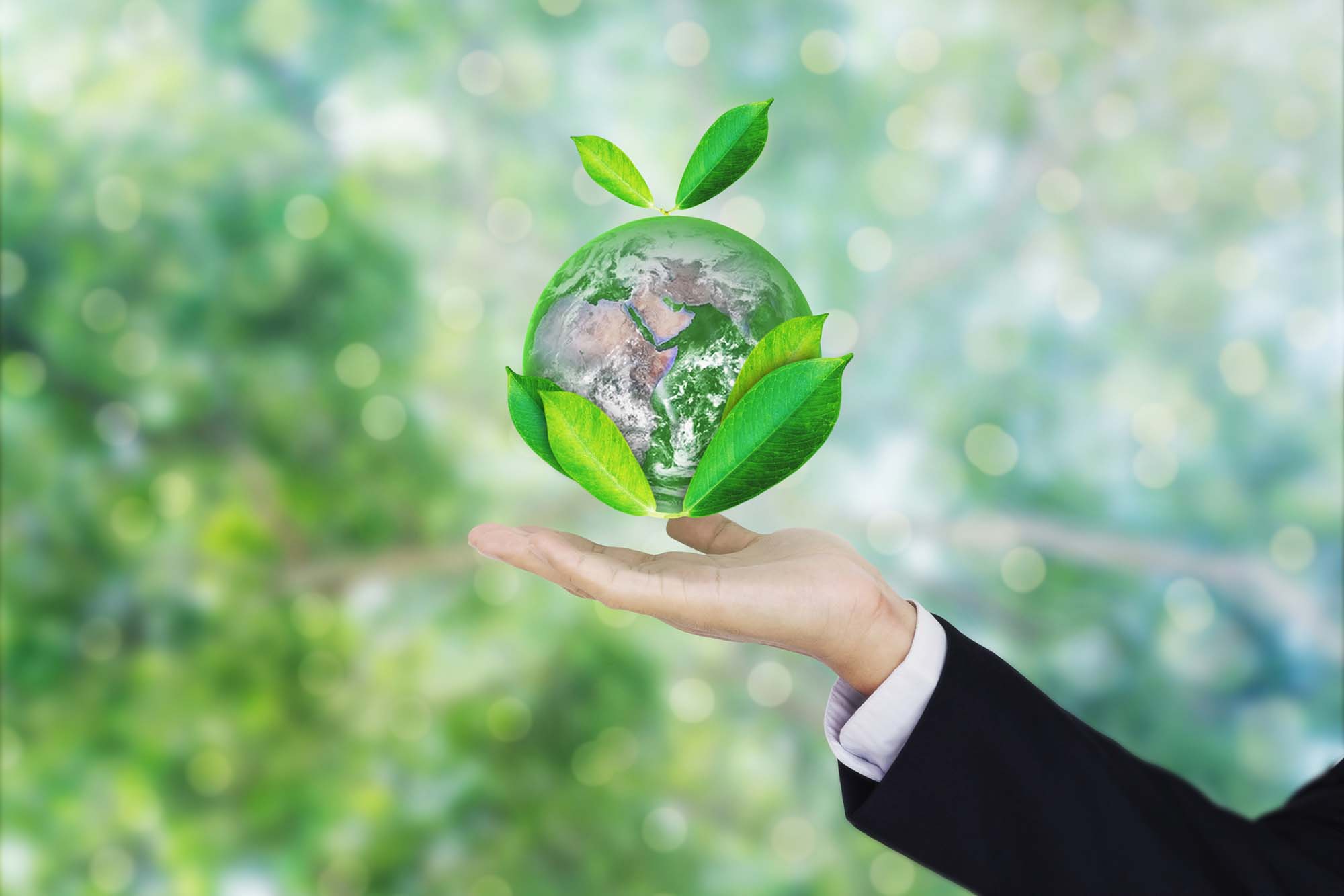 Ser5 Man holding an Eco friendly world